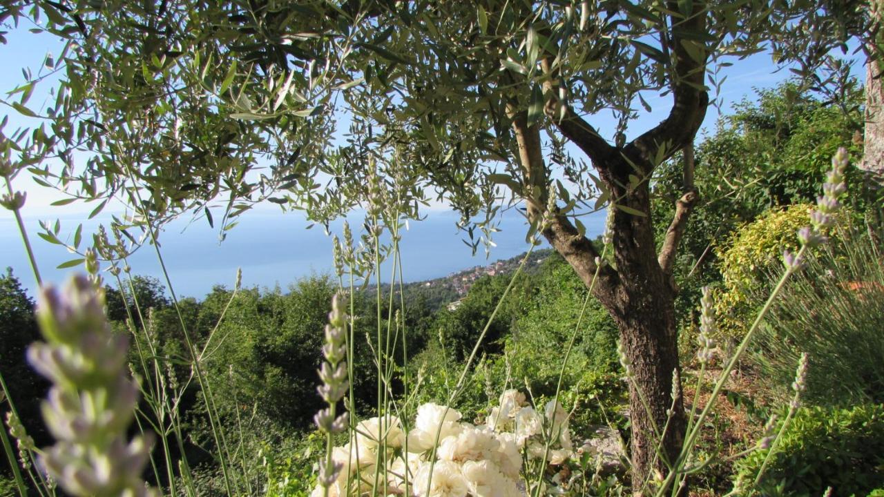 Castella Villa Poljane Екстериор снимка